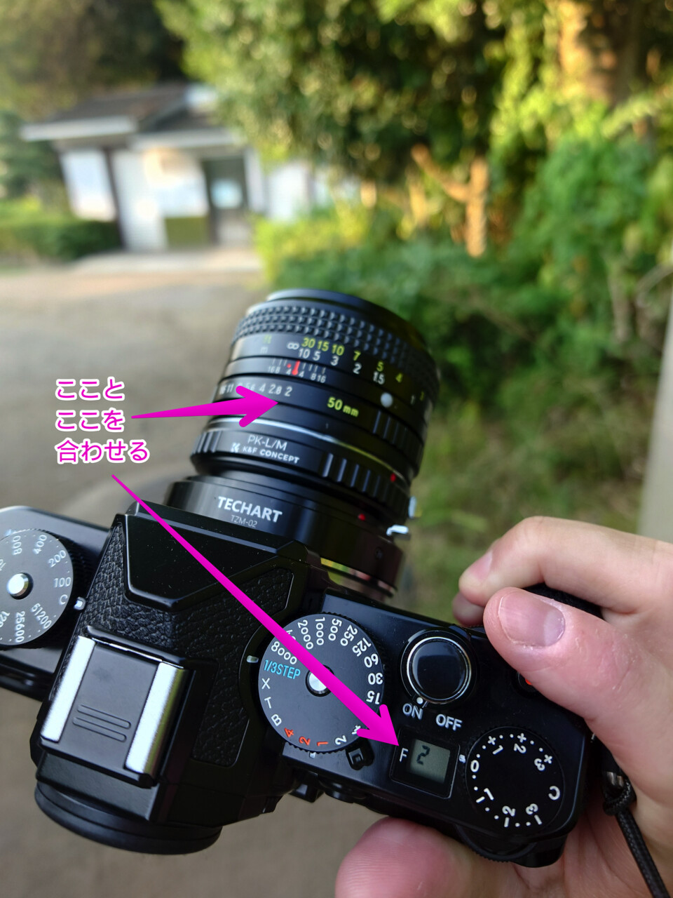 Nikon Zf でオールドレンズを楽しむ Part1（本体の設定とMFアシスト