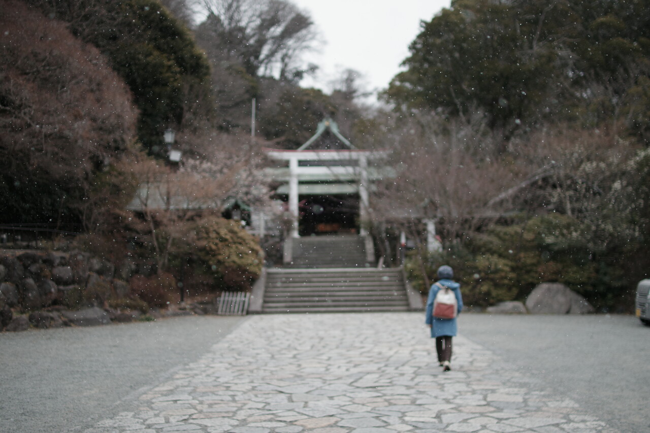 雪が降る日にお参りへ イメージ