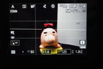 フォーカスピーキング表示（赤）、人形の体部分（目に被写体認識が動いている）にピントが合っている状態